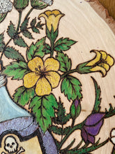 Load image into Gallery viewer, Witch Poison Bottle Woodburning Art  | Pyrography Wall Art | Witch Gift | Altar Decor