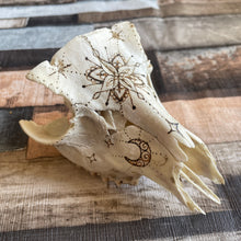 Load image into Gallery viewer, Real Animal Skull Handburned with Pyrography | Woodburning Bone Art | Witch Gift | Altar Decor | Home Decor