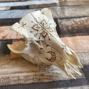 Real Animal Skull Handburned with Pyrography | Woodburning Bone Art | Witch Gift | Altar Decor | Home Decor