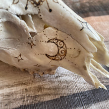 Load image into Gallery viewer, Real Animal Skull Handburned with Pyrography | Woodburning Bone Art | Witch Gift | Altar Decor | Home Decor