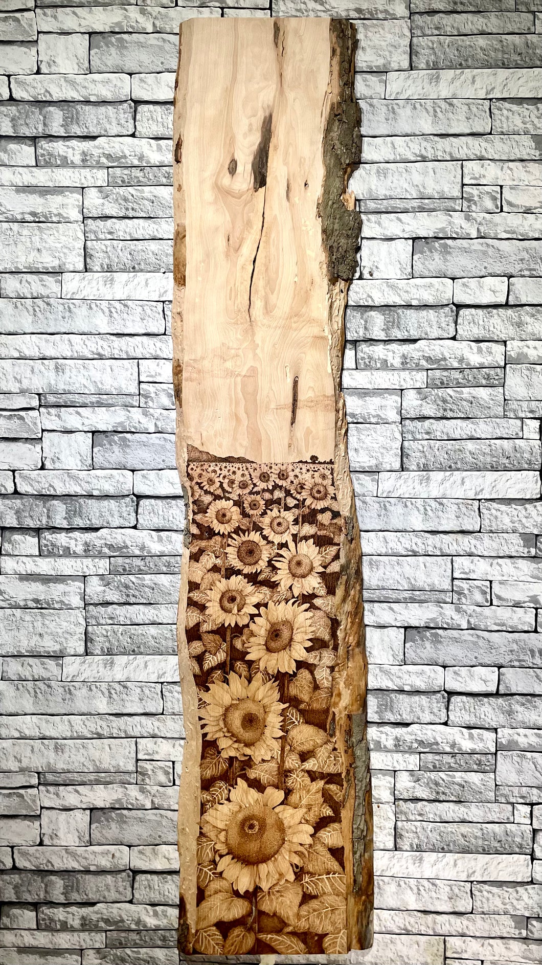 Pyrography Wall Art - Sunflower Fields Forever