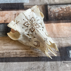 Real Animal Skull Handburned with Pyrography | Woodburning Bone Art | Witch Gift | Altar Decor | Home Decor