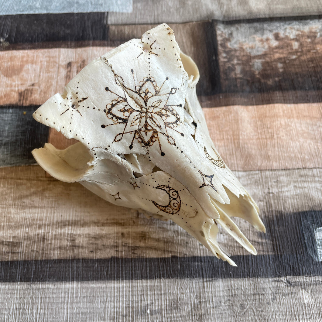 Real Animal Skull Handburned with Pyrography | Woodburning Bone Art | Witch Gift | Altar Decor | Home Decor